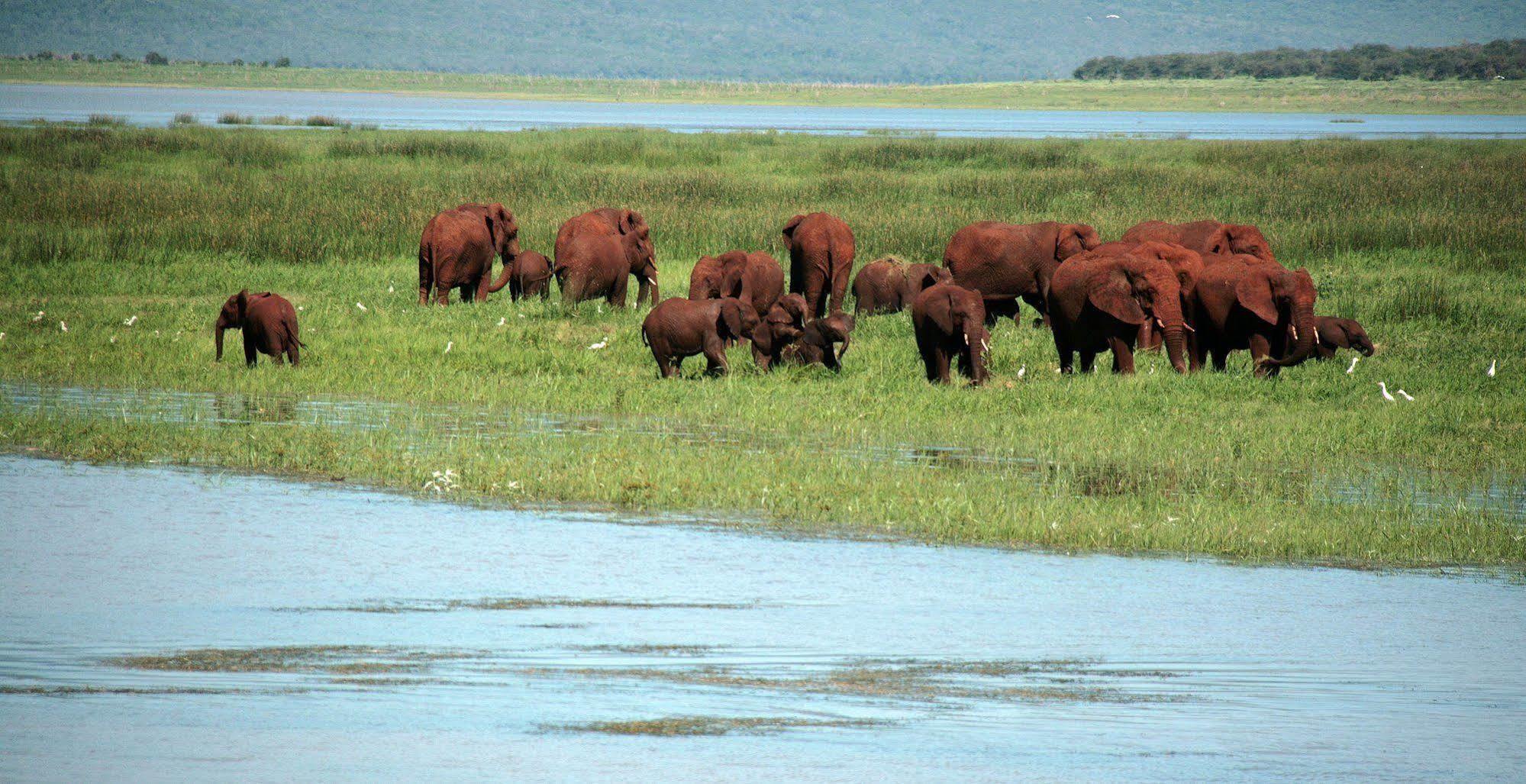 Shayamoya Tiger Fishing And Game Lodge Pongola Luaran gambar